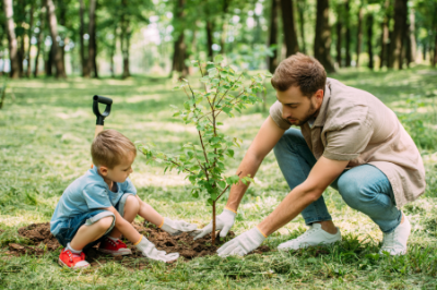 Composting Toilets: Cultivating Reforestation in New Zealand